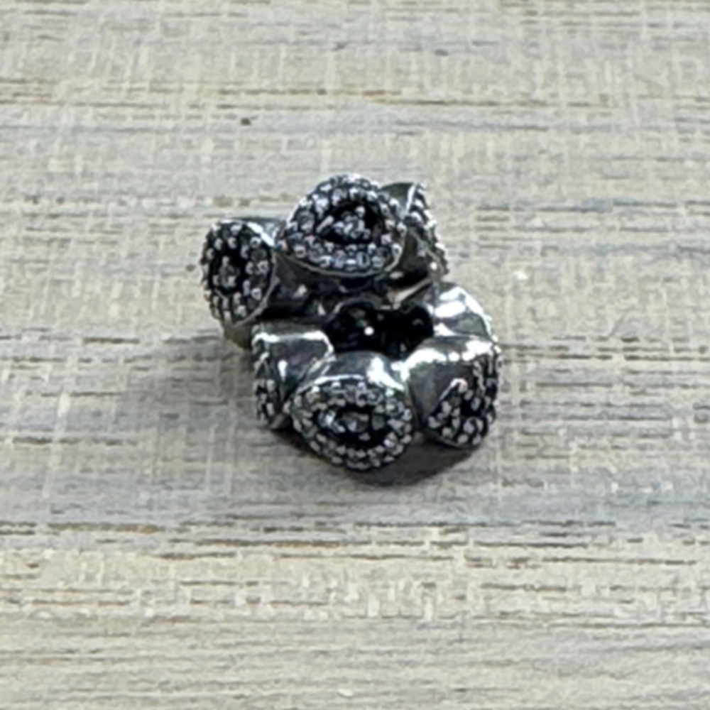 Authentic Pandora Spacers Charm PAIR